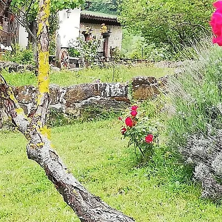 Casa de Campo Caselunghe