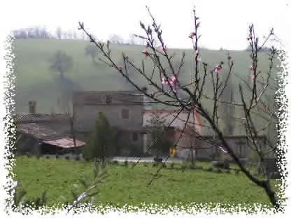Caselunghe *